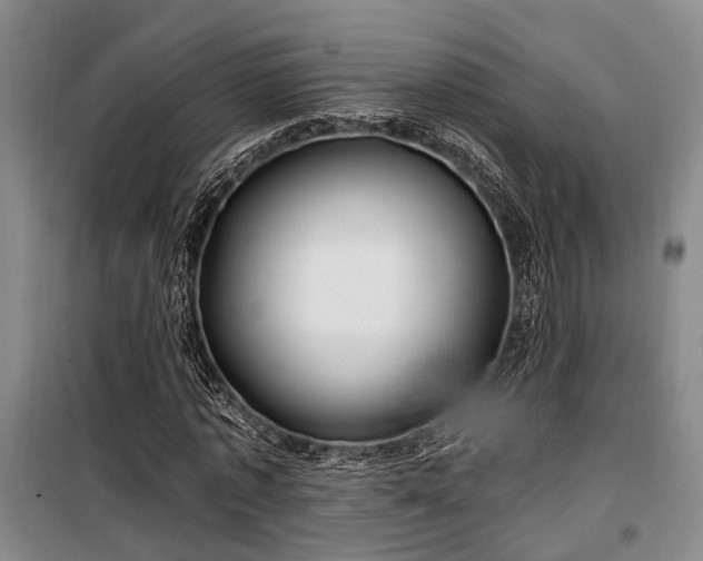 X0000100200773200805301309