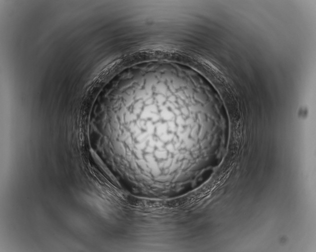 X0000100200774200805301309