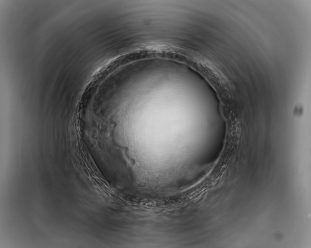 X0000100200776200805301309