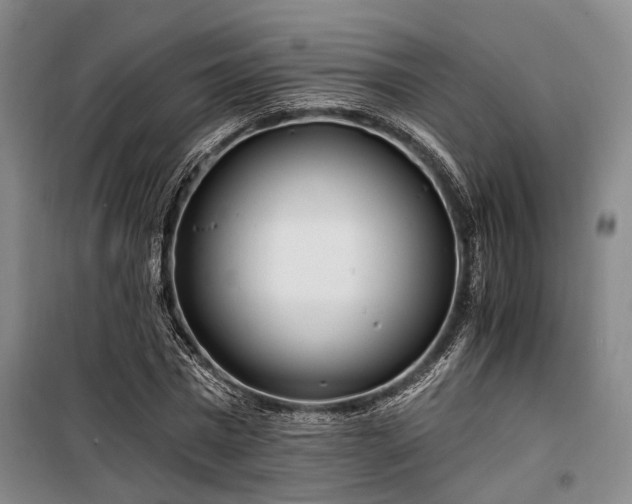 X0000100200777200805301309