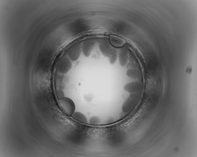 X0000100200778200805301309