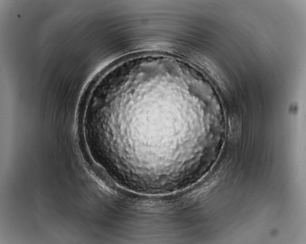 X0000100200780200805301309