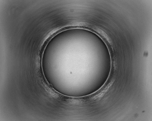 X0000100200781200805301309