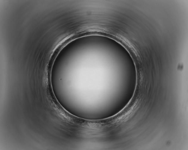 X0000100200782200805301309