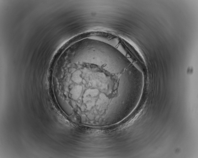 X0000100200783200805301309