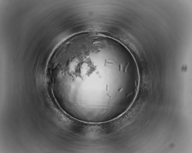 X0000100200784200805301309