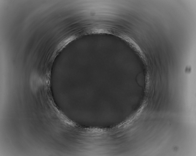 X0000100200785200805301309