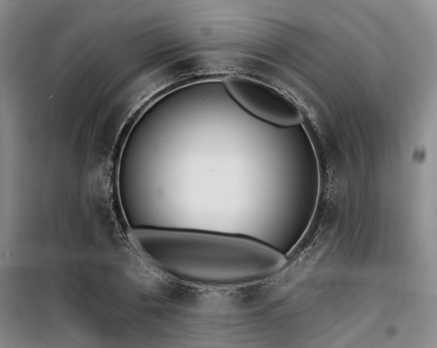 X0000100200786200805301309