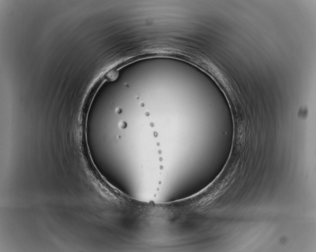 X0000100200787200805301309