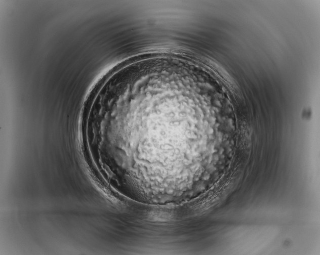 X0000100200788200805301309