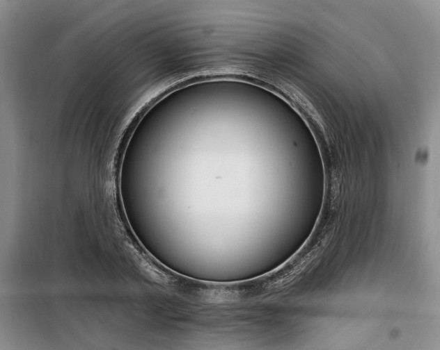 X0000100200789200805301309