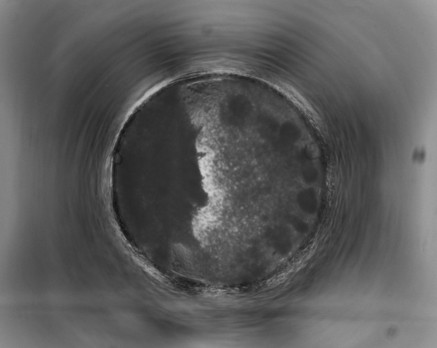 X0000100200790200805301309