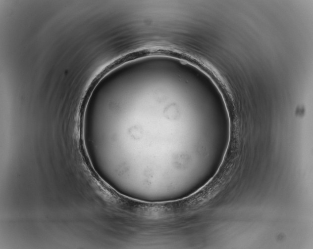 X0000100200791200805301309