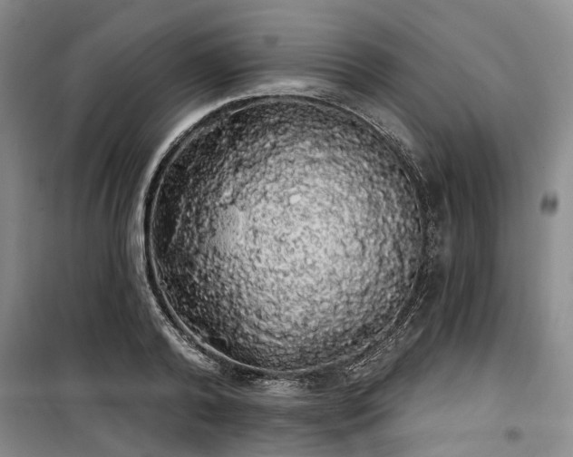 X0000100200792200805301309