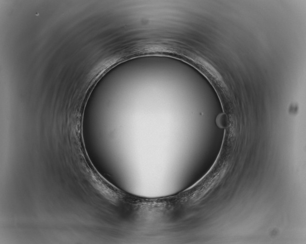 X0000100200793200805301309