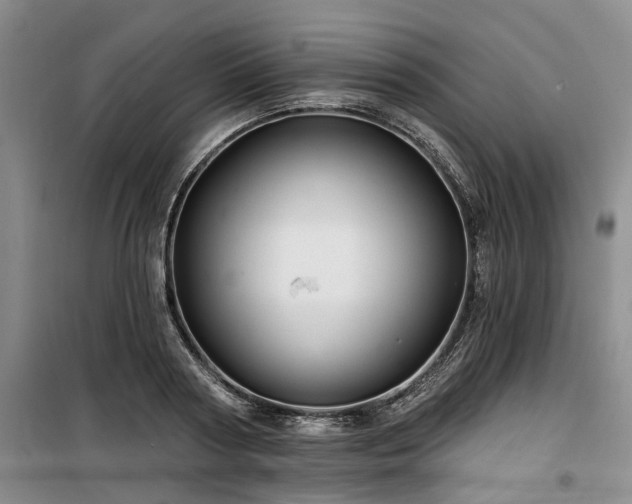 X0000100200794200805301309