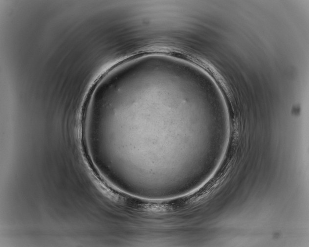 X0000100200795200805301309