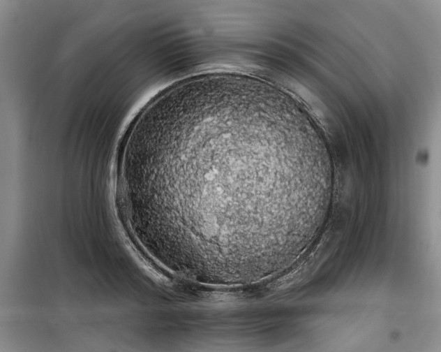 X0000100200796200805301309