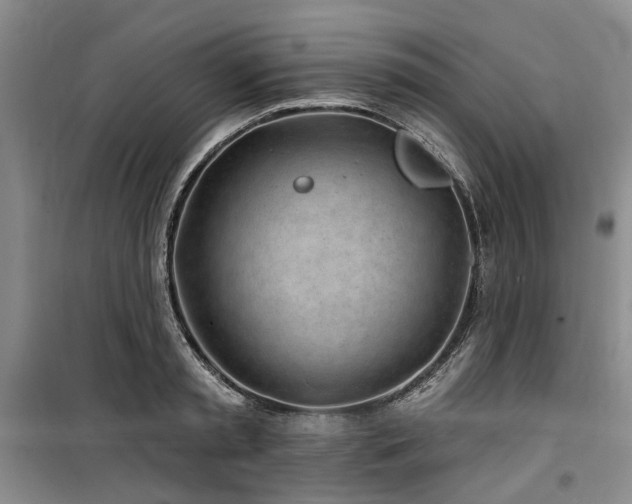 X0000100200797200805301309