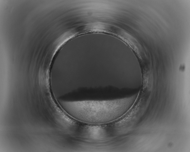 X0000100200798200805301309