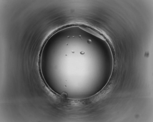 X0000100200799200805301308