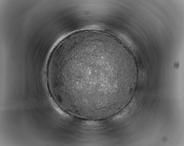 X0000100200800200805301308