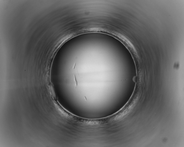 X0000100200801200805301308