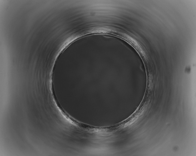 X0000100200802200805301308