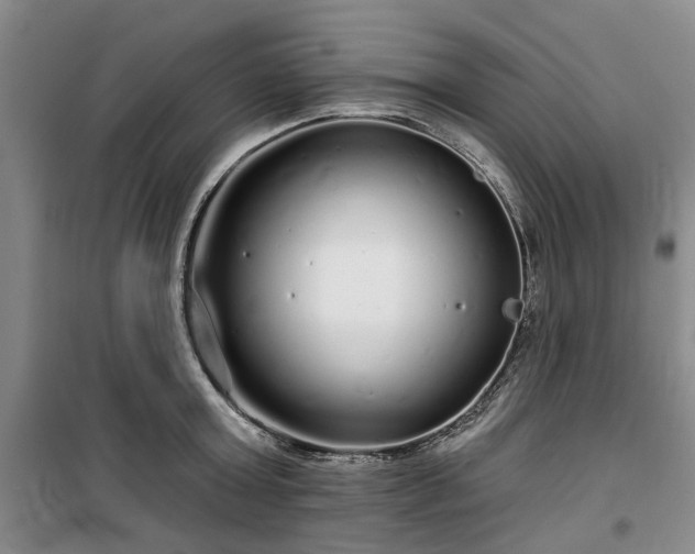 X0000100200803200805301308