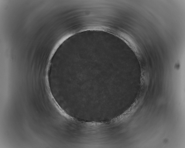 X0000100200804200805301308