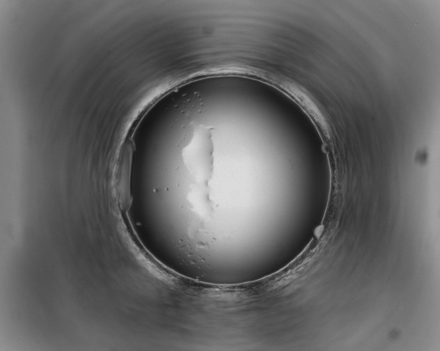 X0000100200805200805301308