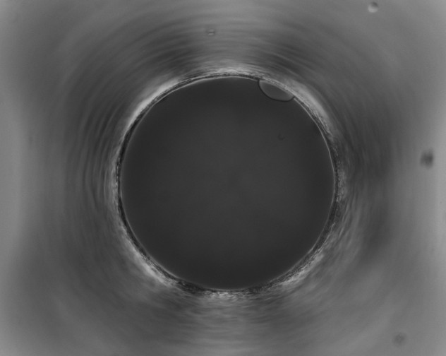 X0000100200806200805301308