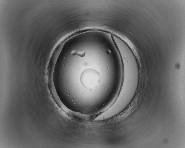 X0000100200807200805301308