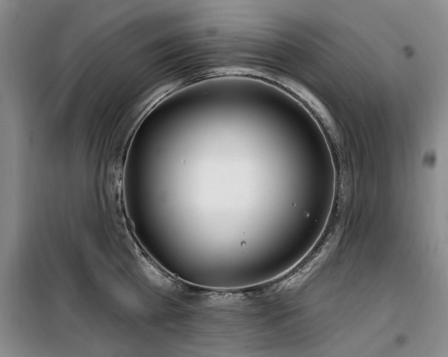 X0000100200809200805301308