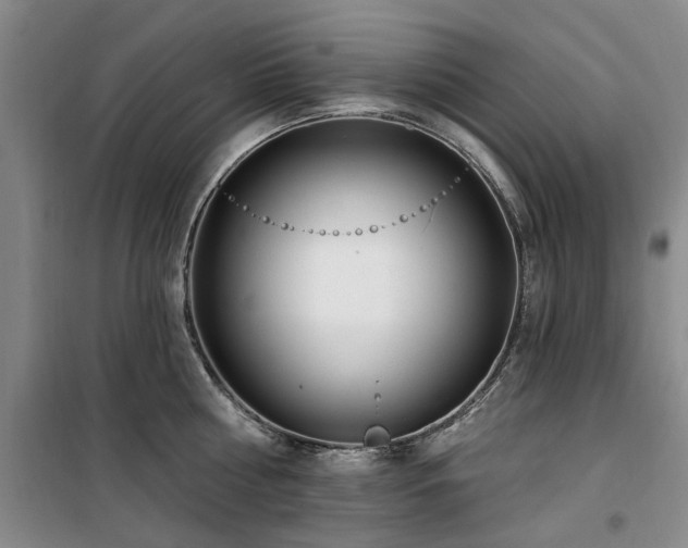 X0000100200810200805301308