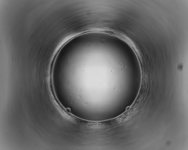 X0000100200811200805301308