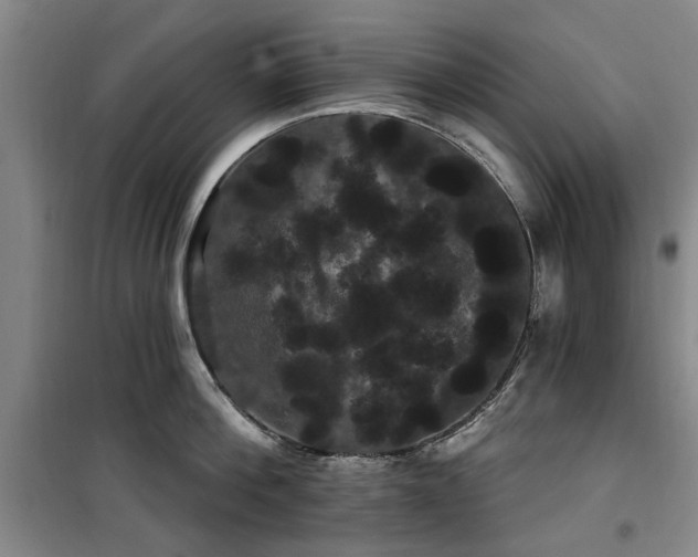 X0000100200812200805301308