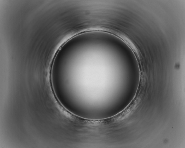 X0000100200813200805301308