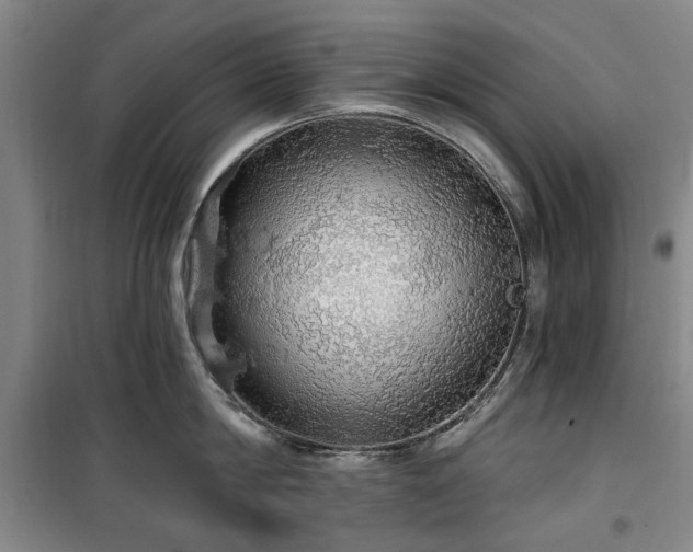 X0000100200814200805301308