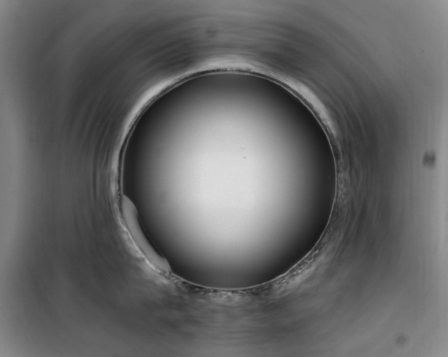 X0000100200815200805301308