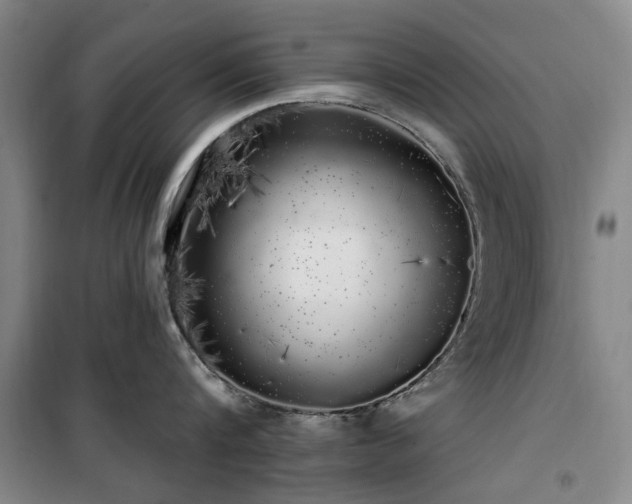 X0000100200816200805301308