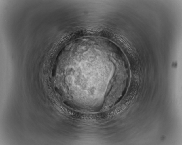 X0000100200817200805301308