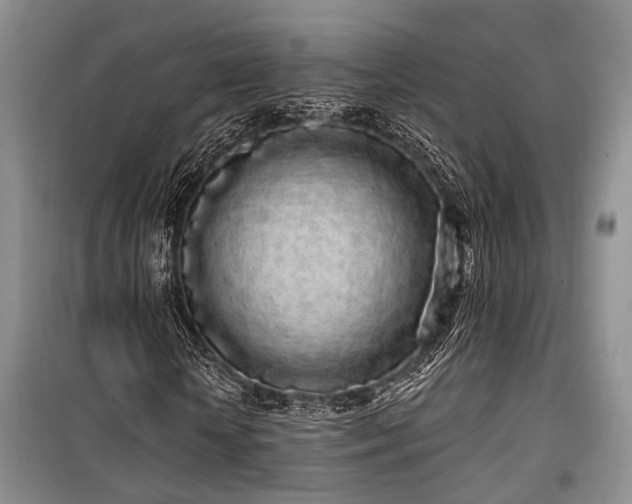 X0000100200818200805301308