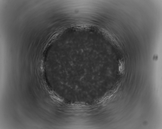 X0000100200819200805301308