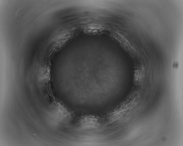 X0000100200820200805301308