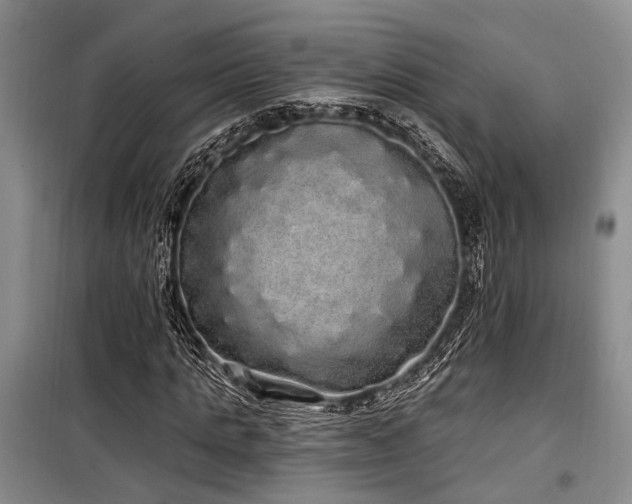 X0000100200821200805301308