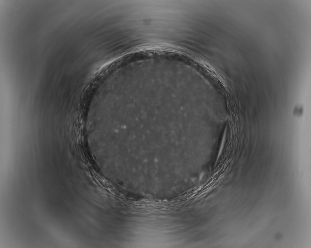 X0000100200822200805301308