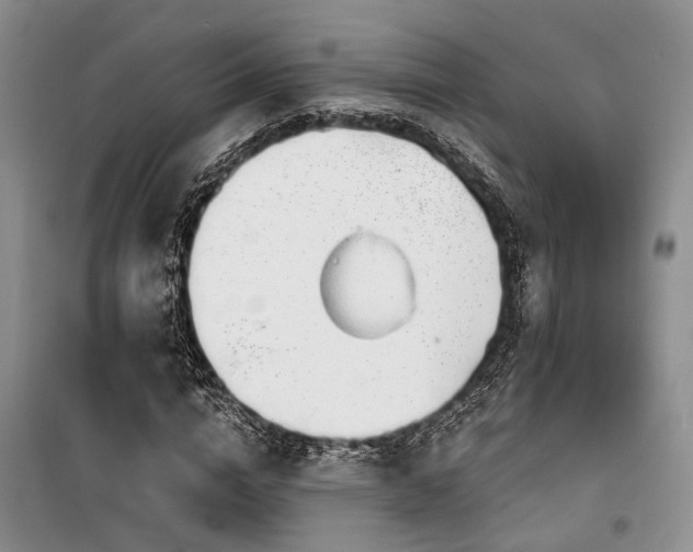 X0000100200824200805301308