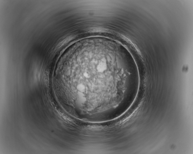 X0000100200825200805301308