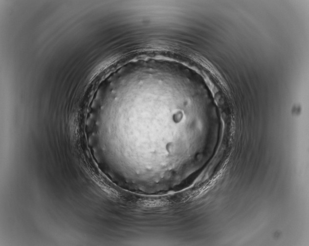 X0000100200826200805301308